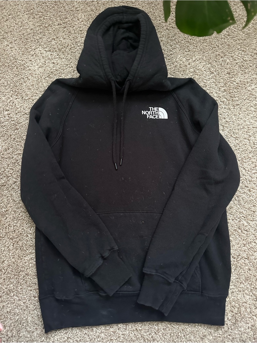 The North Face Black Logo Pullover Hoodie